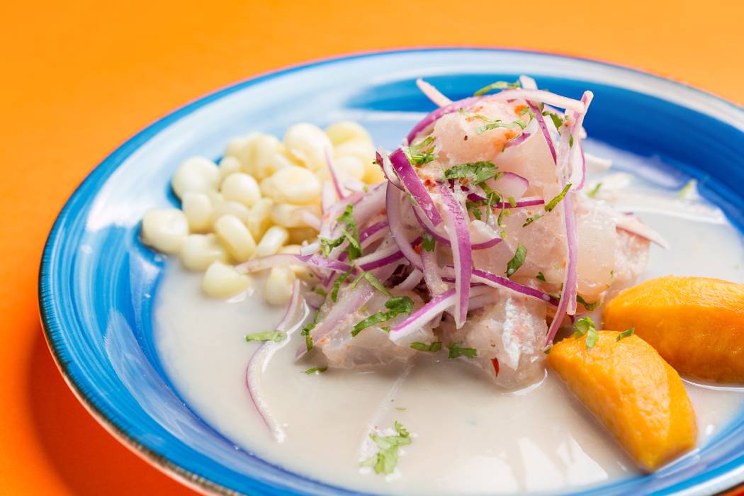 A journey through flavors and colors: discover the traditional cuisine of Costa Rica