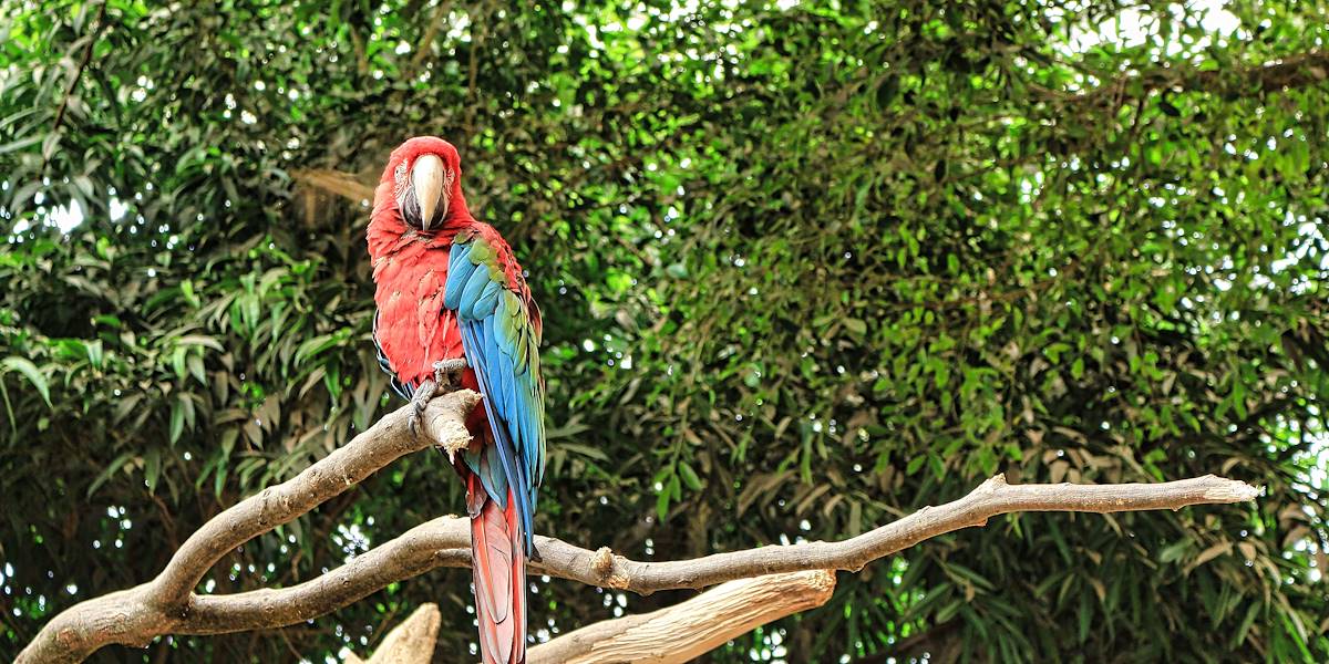 Costa Rica italiani residenti