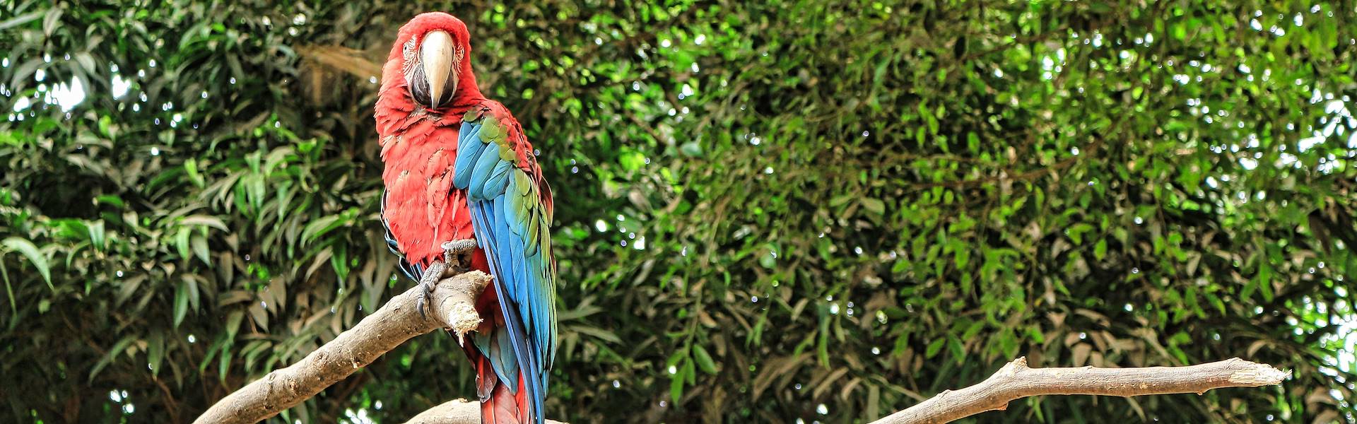 Perchè trasferirsi in Costa Rica