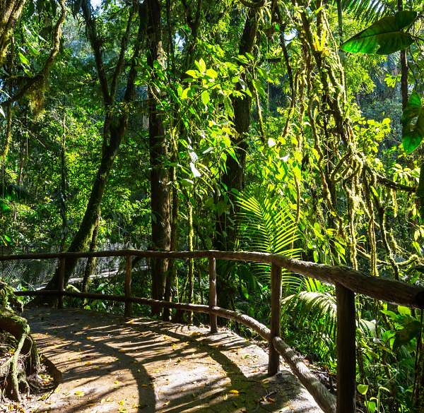 Here's why you should visit Costa Rica: a journey through nature, culture and sustainability