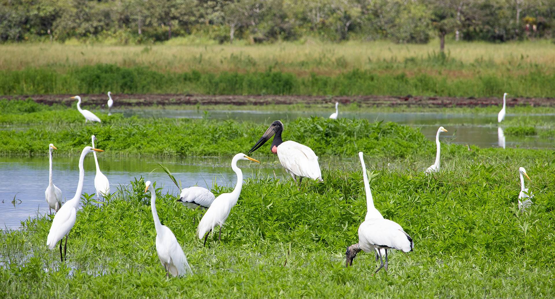 Natural Parks in Costa Rica