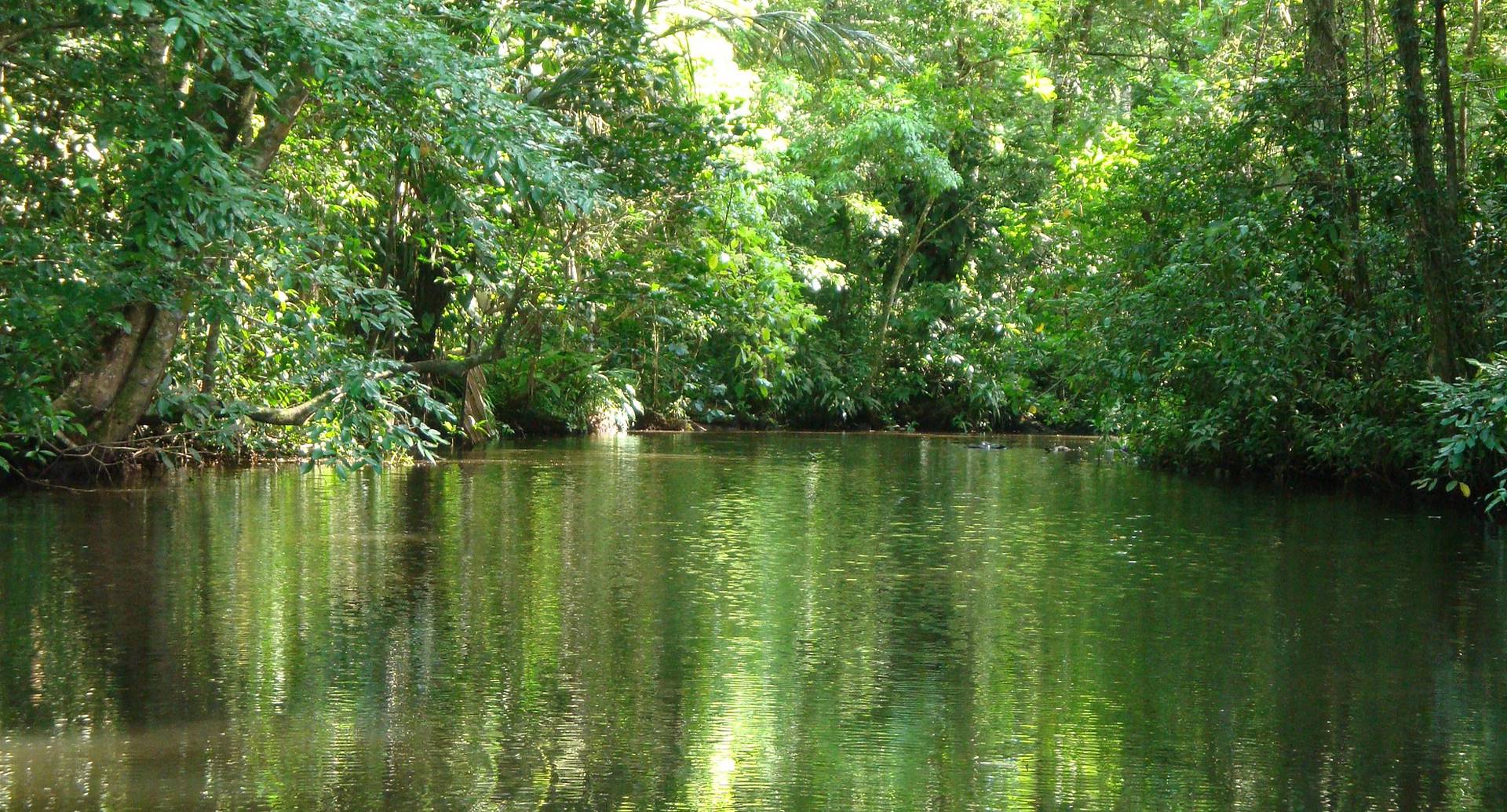 Natural Parks in Costa Rica