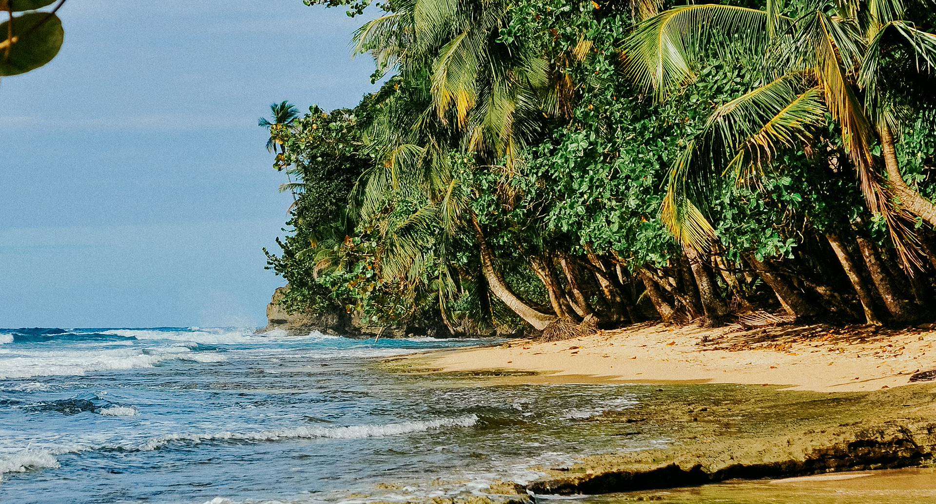Vivere in Costa Rica con Flor de Pacifico: Scopri la "Pura Vida"