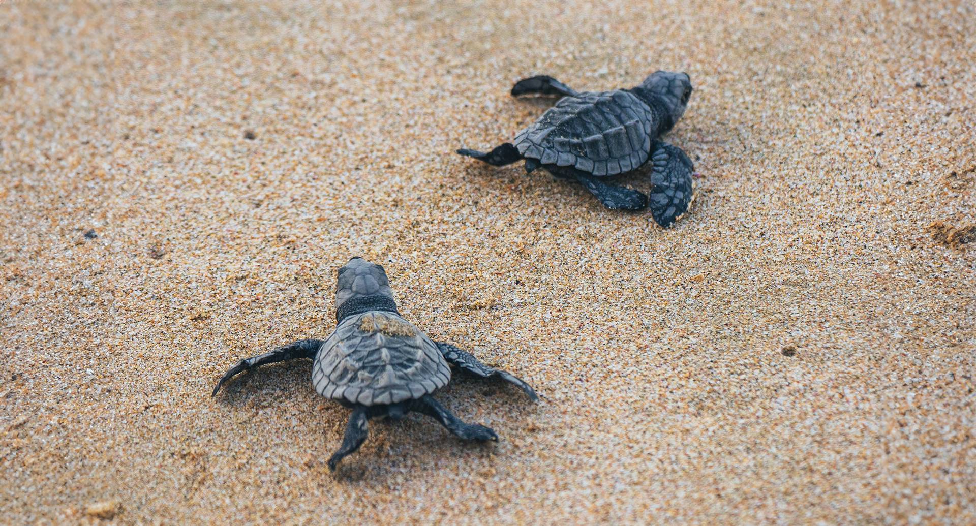 Natural Parks in Costa Rica