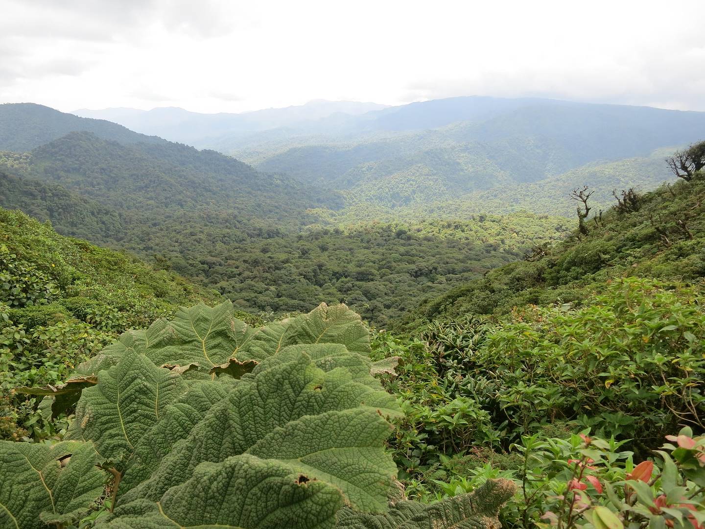 The climate of Costa Rica: living in a tropical paradise all year round