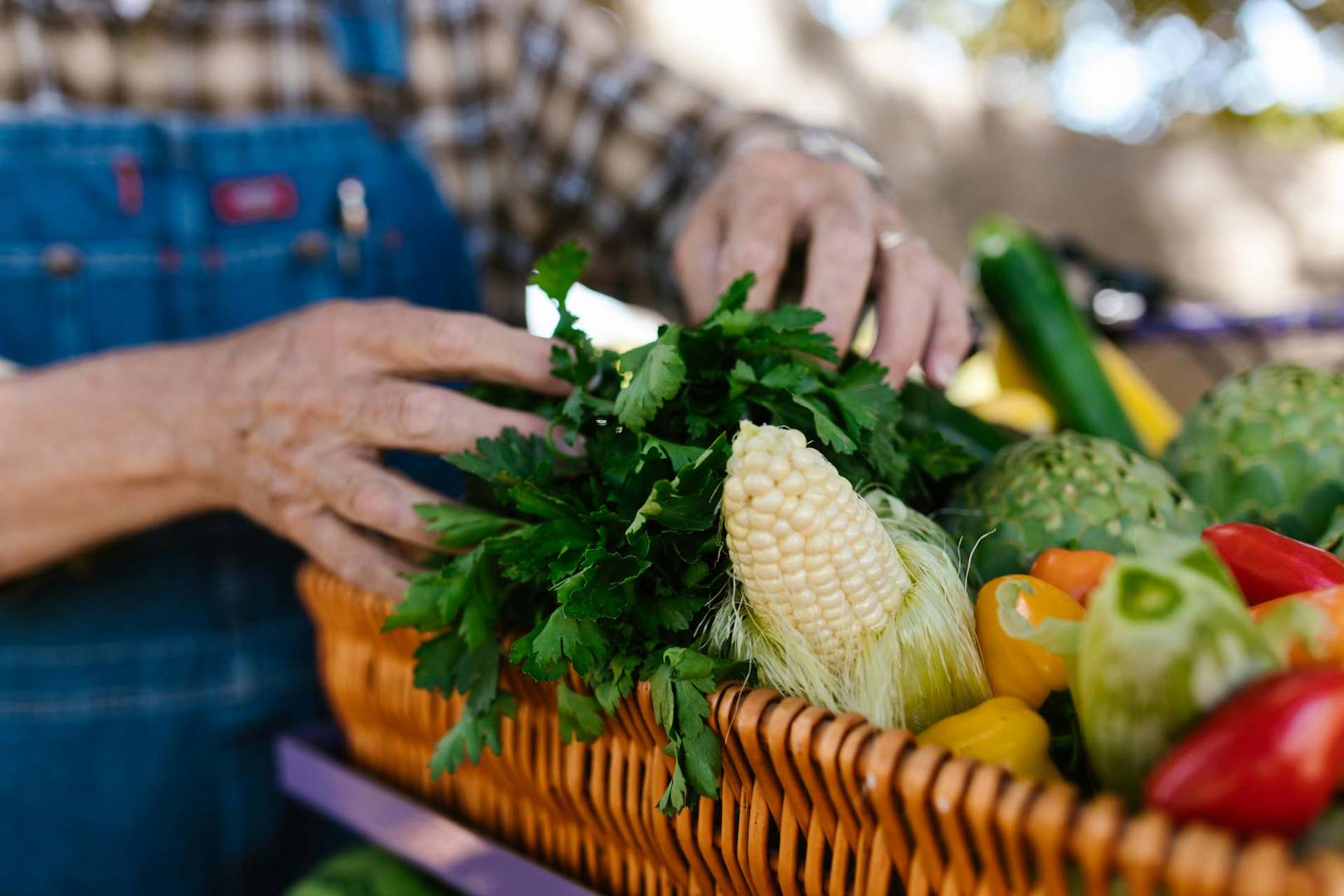 Sustainable living in Costa Rica: a model of well-being and environmental respect