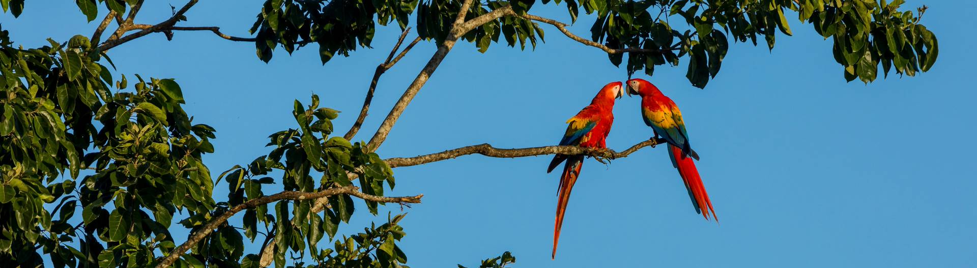 Parchi Naturali in Costa Rica